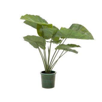 Kave Home Alocasia