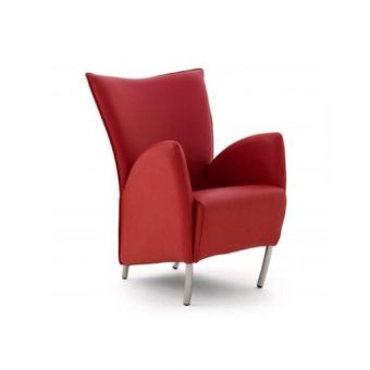 Bree's New World Tulip